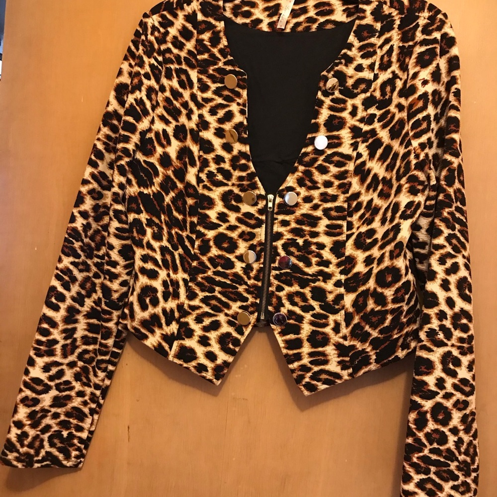 Jacket - Picture 6 of 16